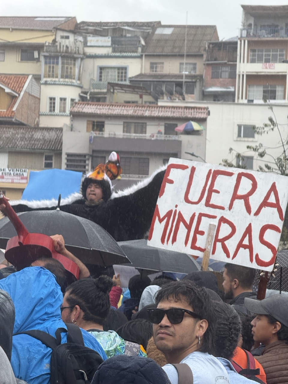 Crowd moving past historic architecture with protest flags